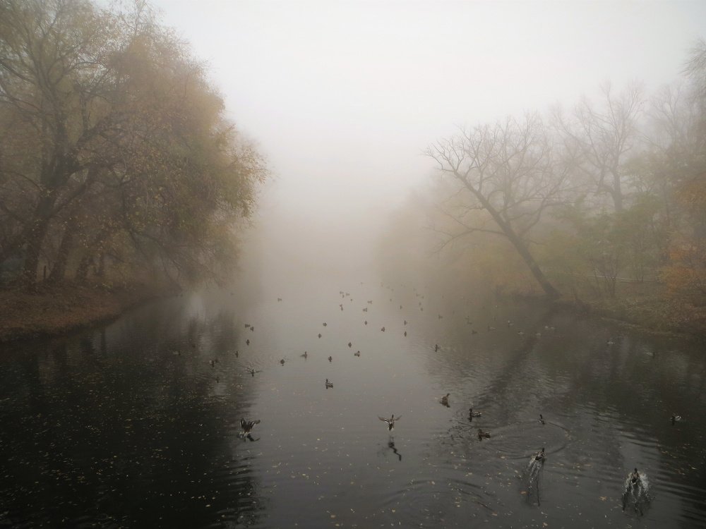 Photograph by Екатерина Салий