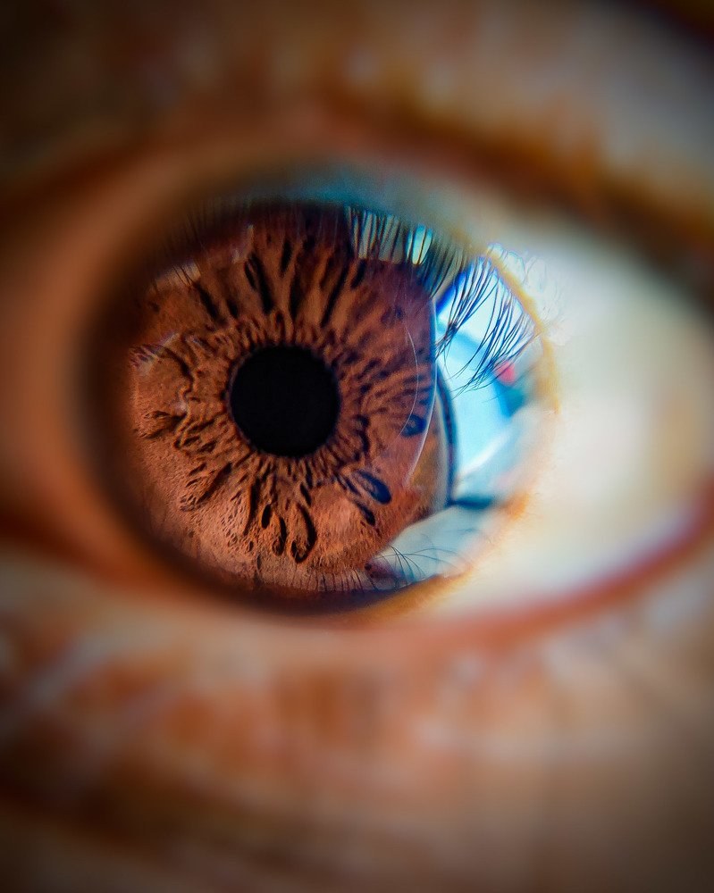 Macro shoot.