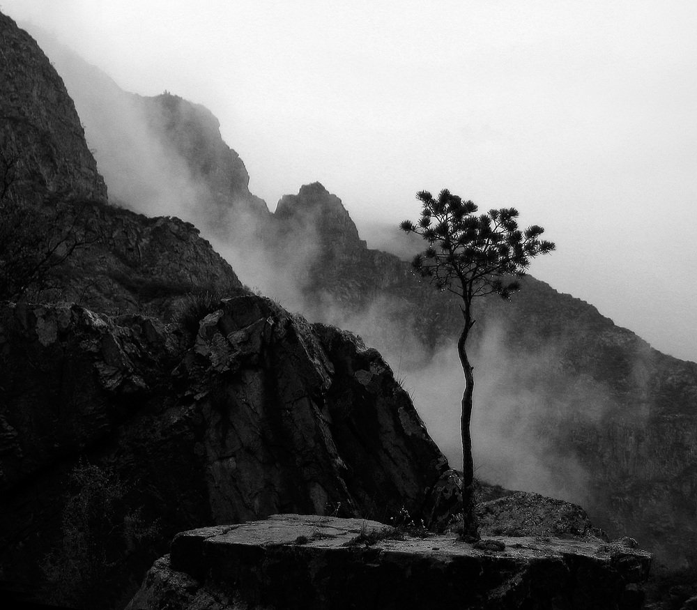 Photograph by Дмитрий Ткаченко