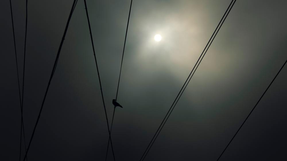 Photograph by Руслан Алексо