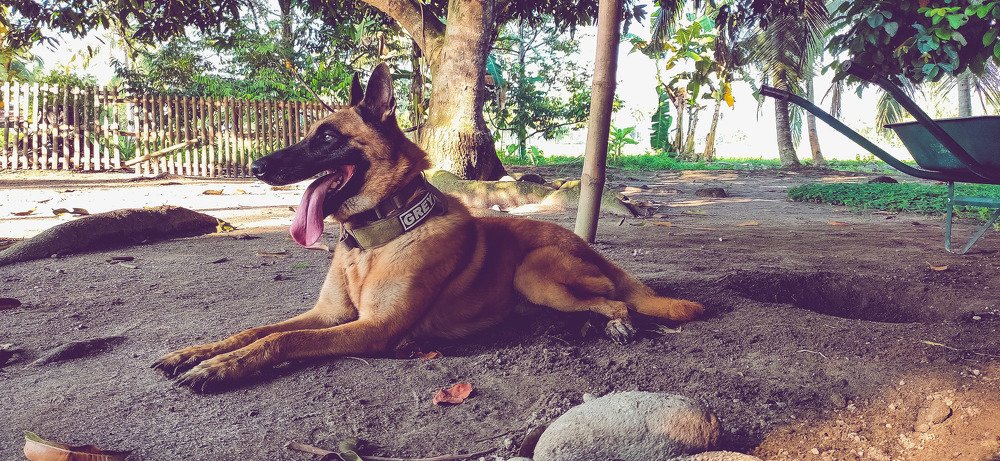 Photograph by Jear Cautivar