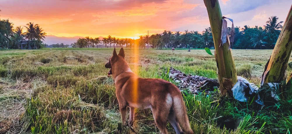 Photograph by Jear Cautivar