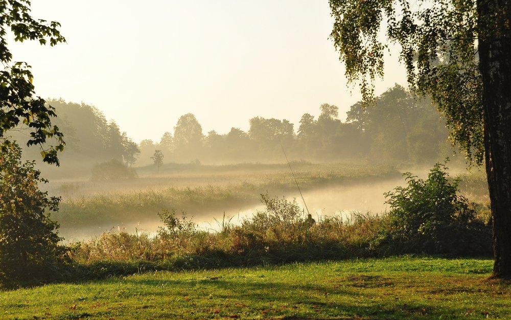 Фотография автора Антип