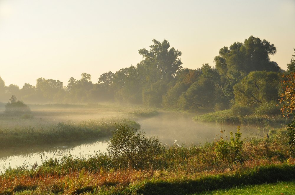 Фотография автора Антип