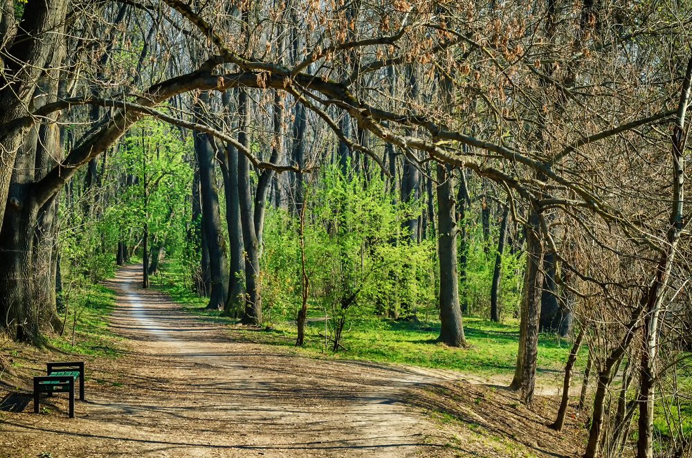 Фотография автора Владимир Троян