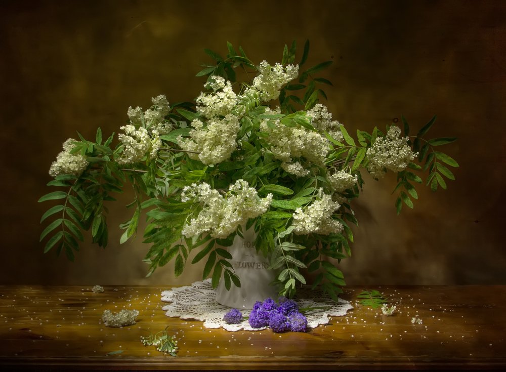 Photograph by 