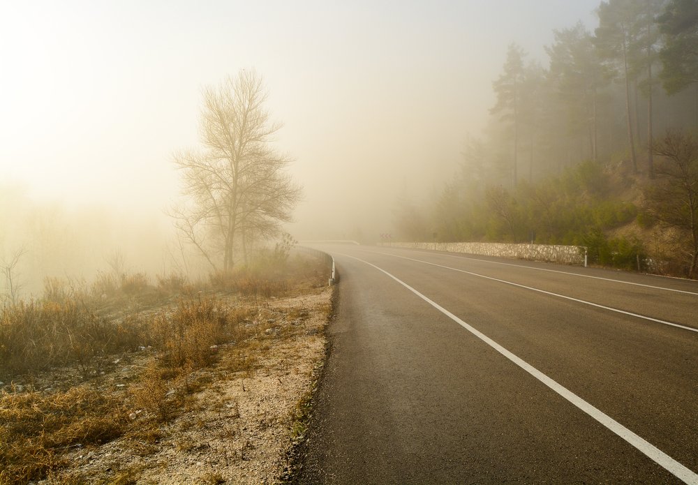 Photograph by Maria Tsechoeva