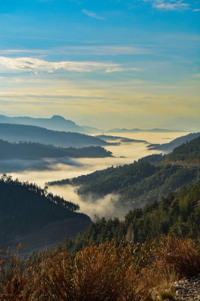 Photograph by Maria Tsechoeva