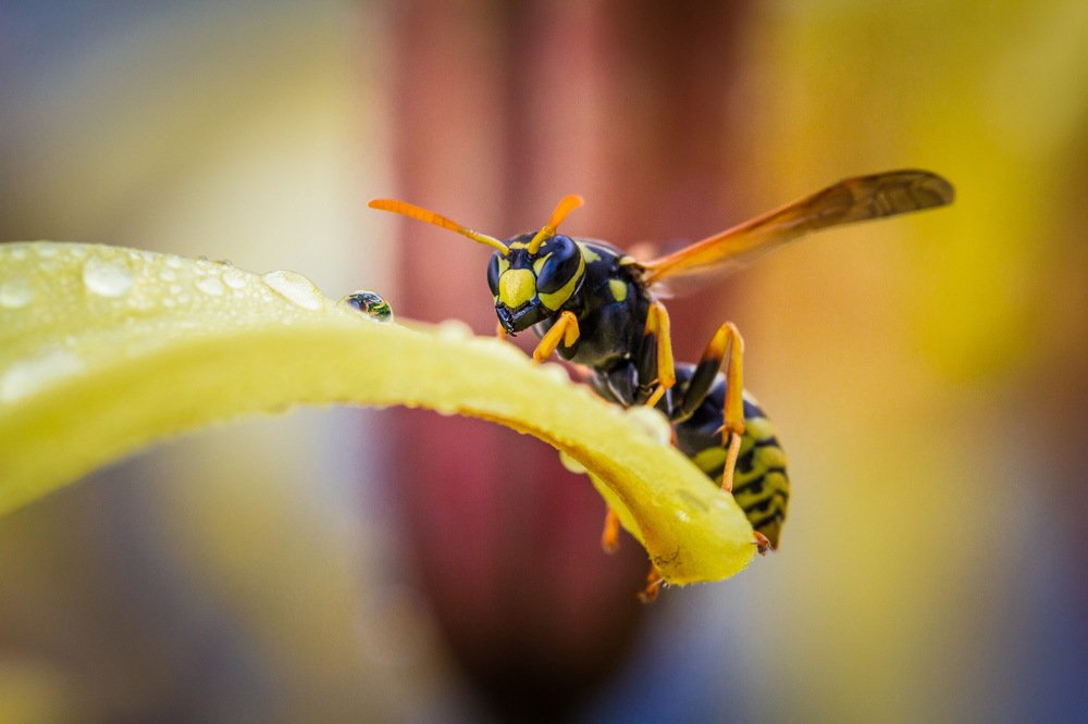 Photograph by Васенин Павел
