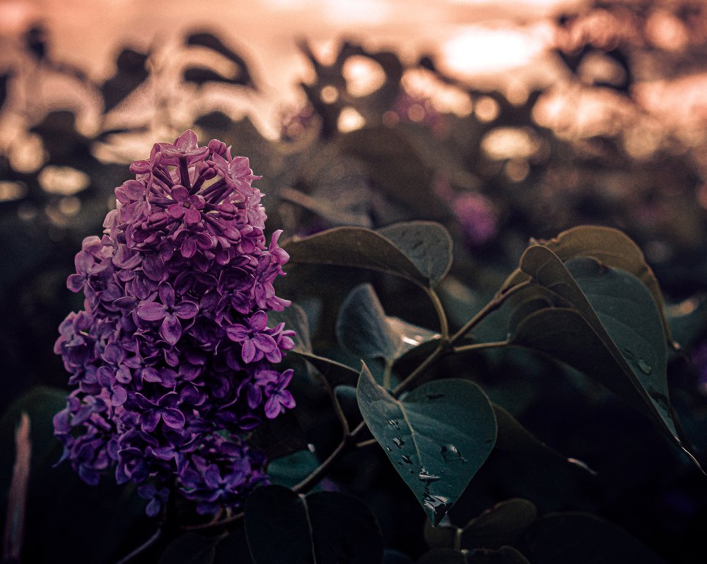 Photograph by Владислав Гладыш