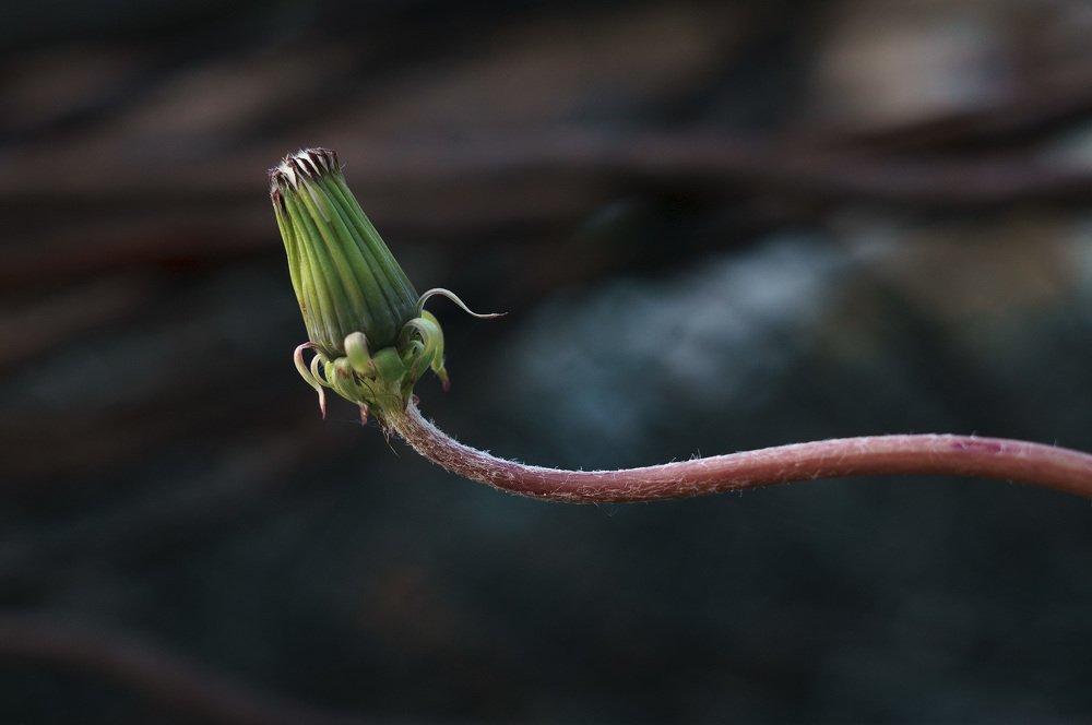 Photograph by Владимир Янчук