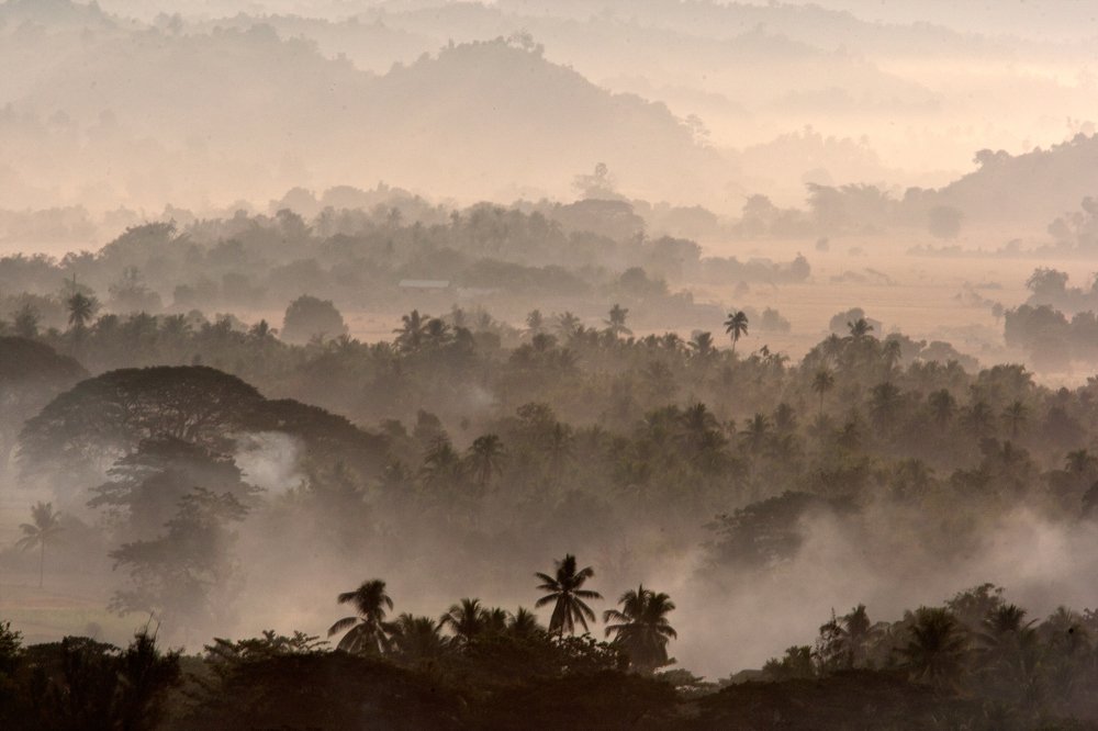Фотография автора Олег Грачёв