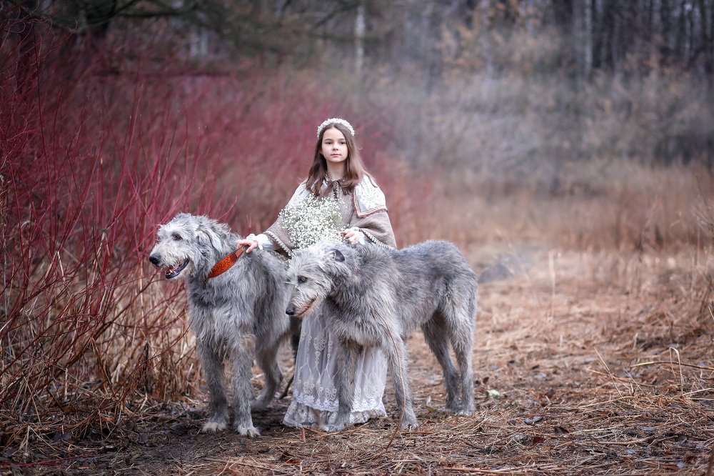 Photograph by Наталья Сидорова