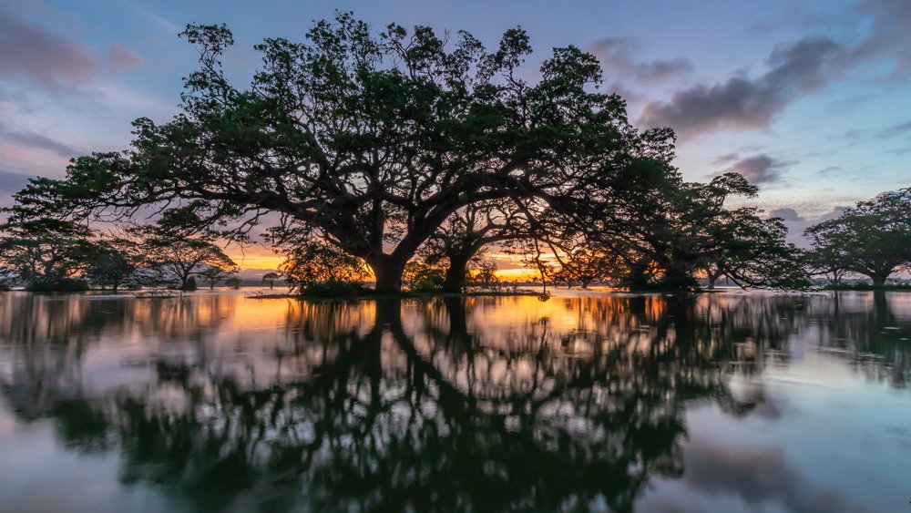 Photograph by Rahal Fernando