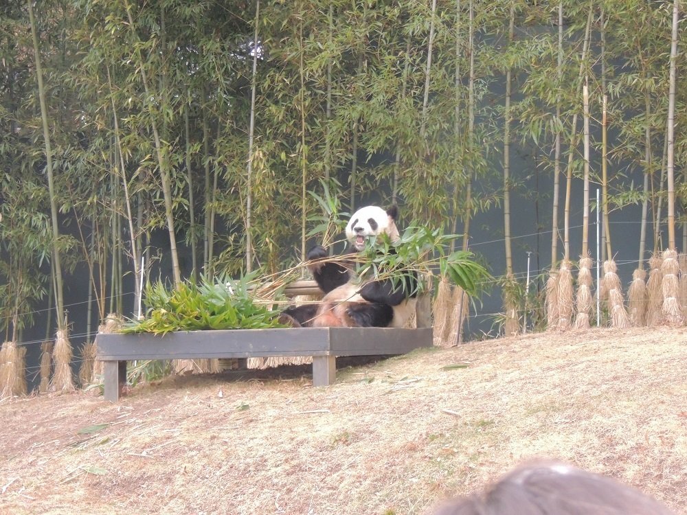 Photograph by Анжелика Гончарова