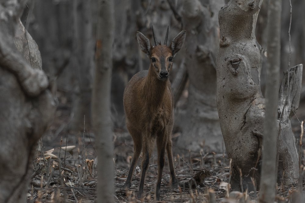Photograph by Deon Oosthuizen