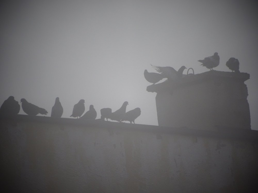 Photograph by Марина Цекова