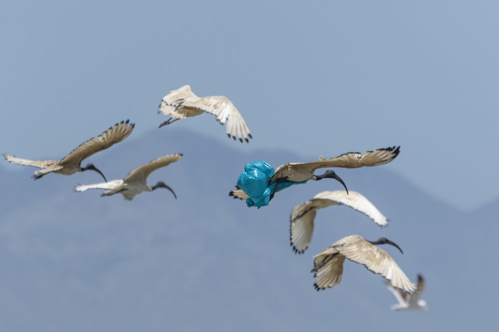 Photograph by Deon Oosthuizen