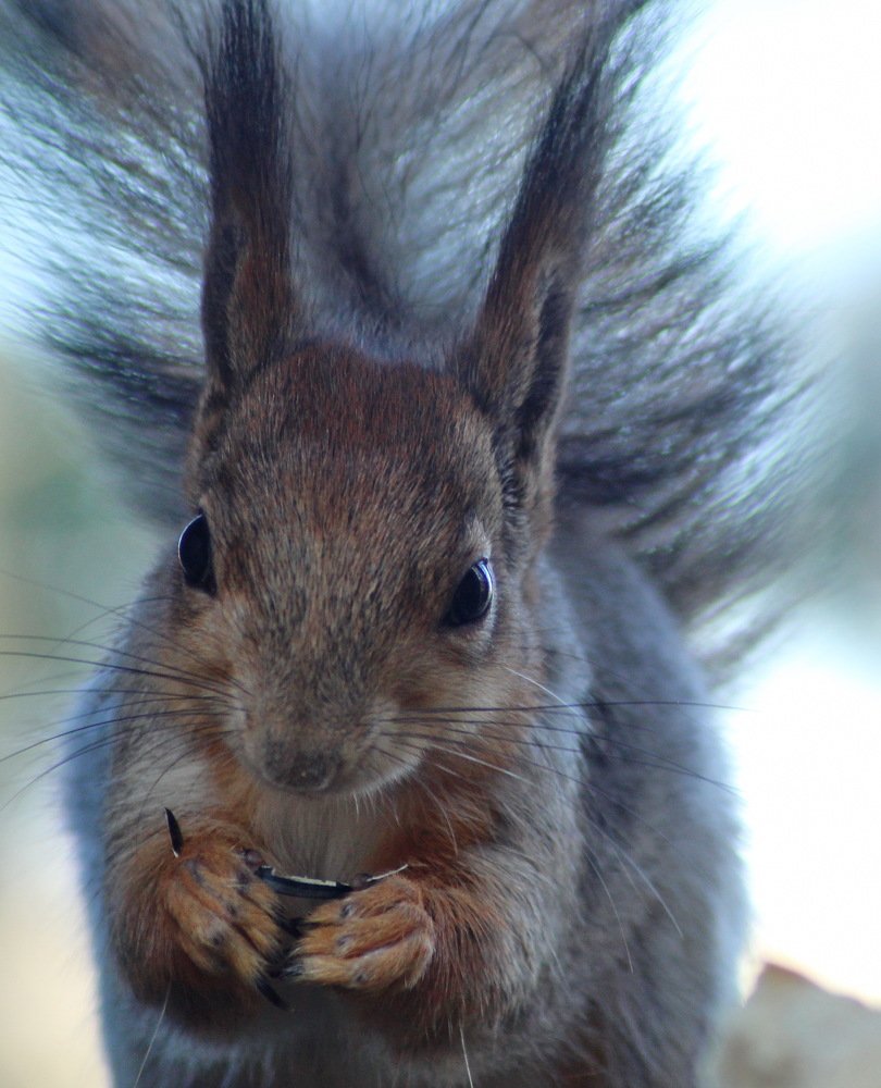 Photograph by Николай Николаевич Леухин