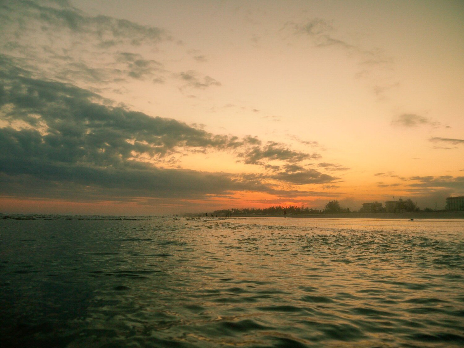 Photo #4634287