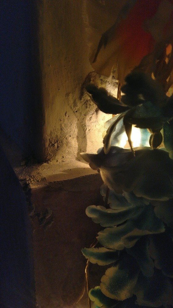 Photograph by Divya sharma