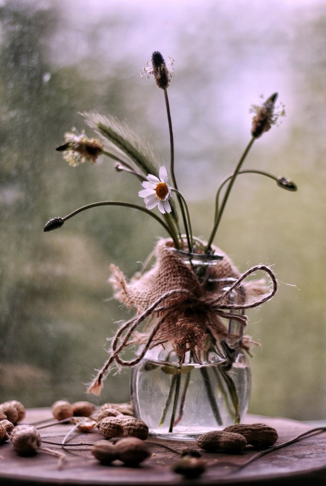 Photograph by Наталия Запорожец