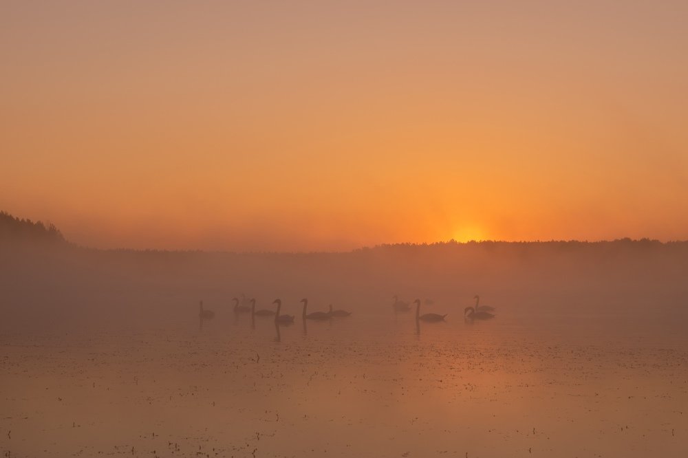 Photograph by Дмитрий Захаров