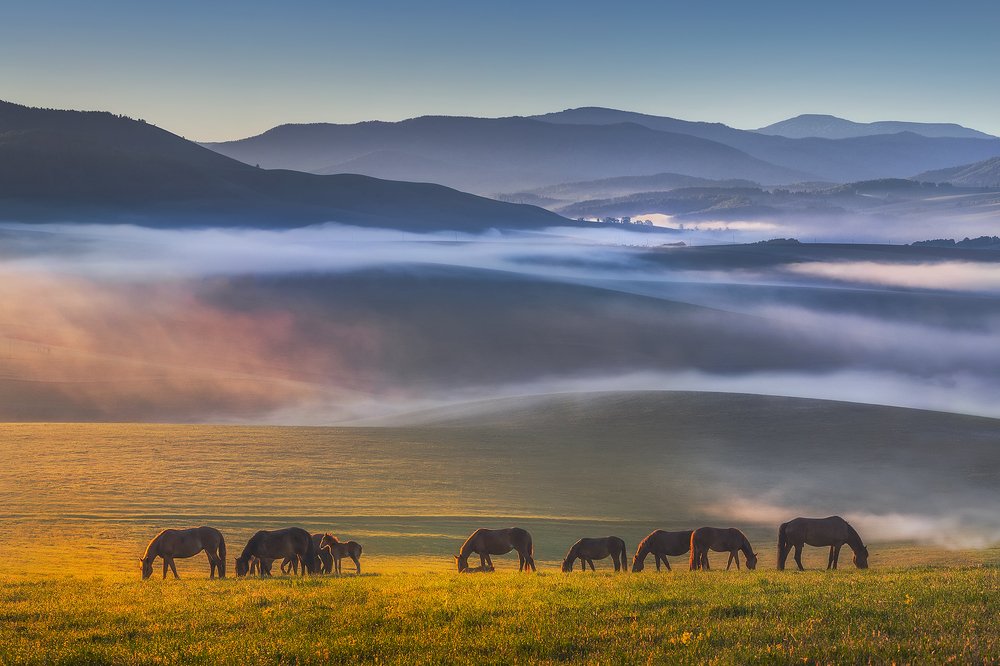 Фотография автора Ольга Рудченко