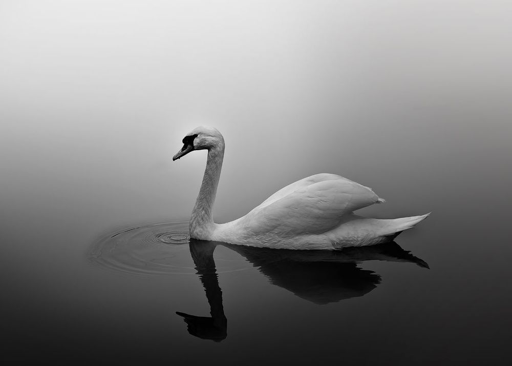 Photograph by Abbas Kalantar