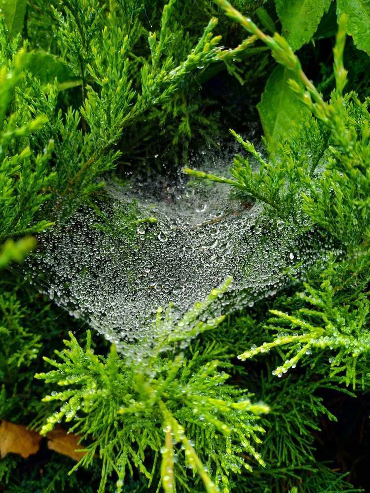 Photograph by Юрий Карач