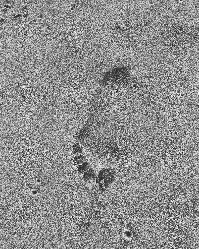 Photograph by Ayush Bhattacharjee