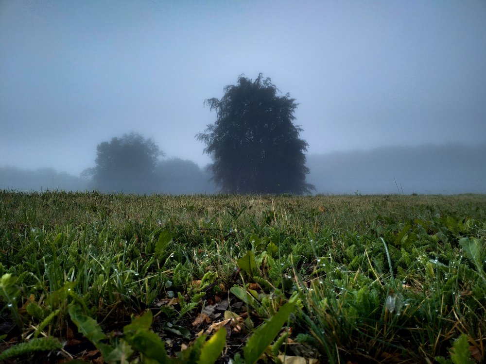 Photograph by Юрий Карач