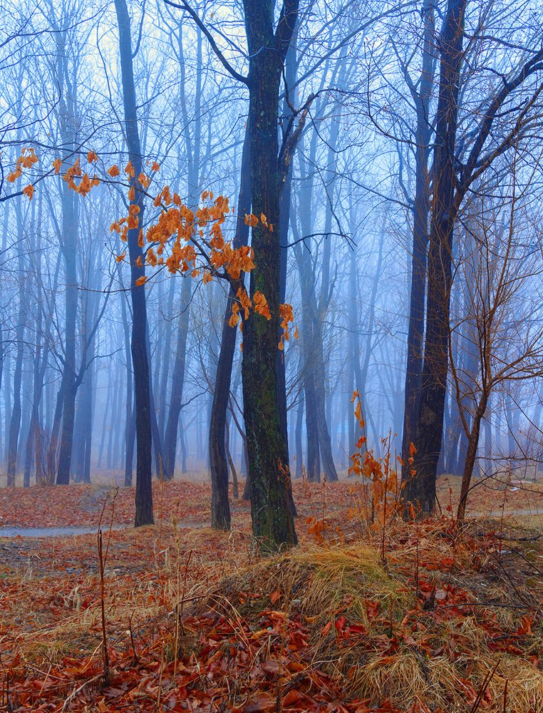 Photograph by Тамара Морозова