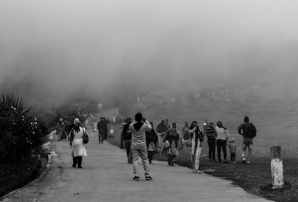 || A Foggy Meet ||