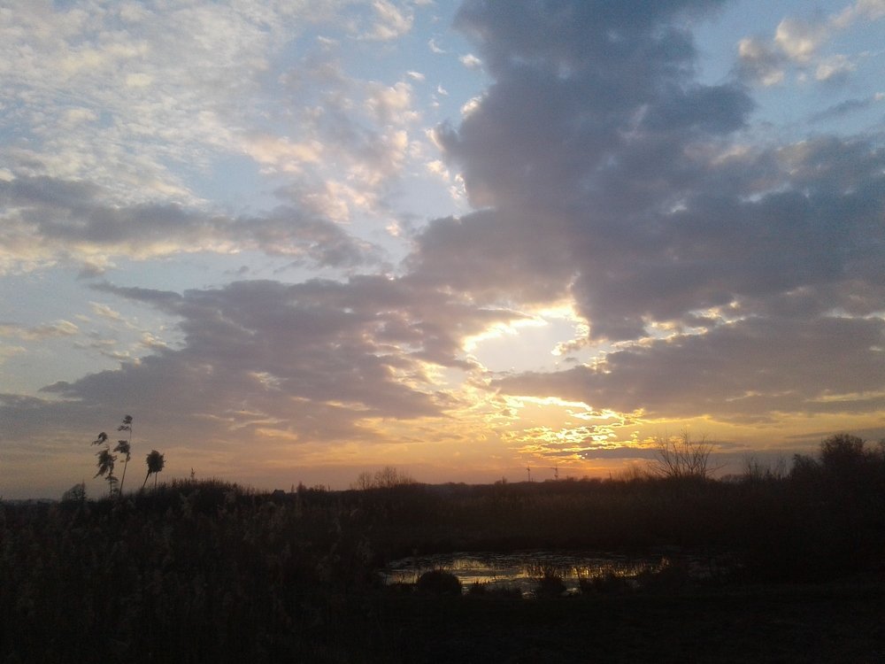 Photo #4634640