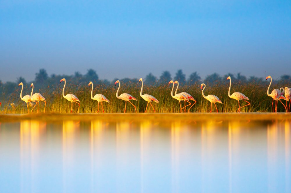 Photograph by Senthilverl Senthi Aathavan