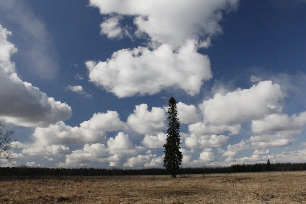 Photograph by Вадим Баронов