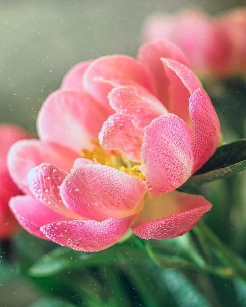 Photograph by Гульсинэ Шаина