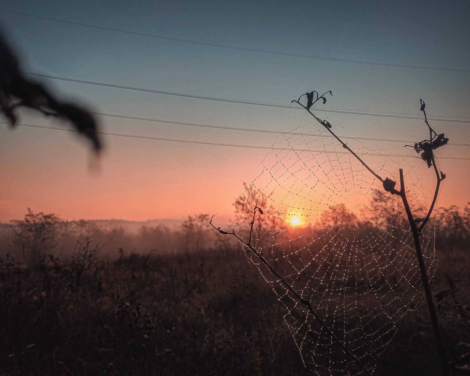 Photo #4634872