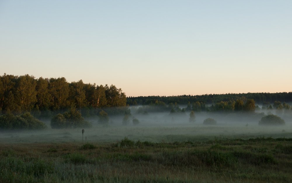 Photograph by Елена Куликова