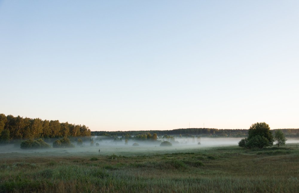Photograph by Елена Куликова
