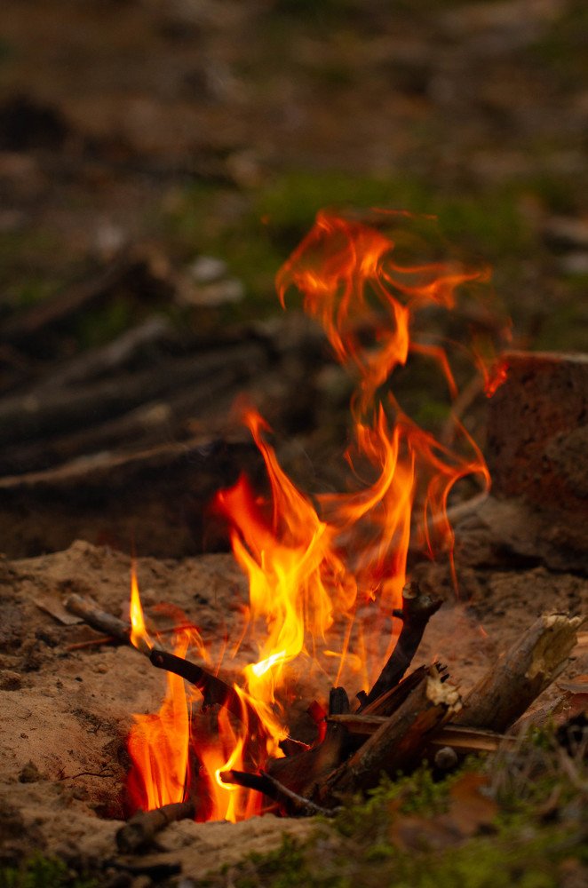 Photograph by Таня Короткова