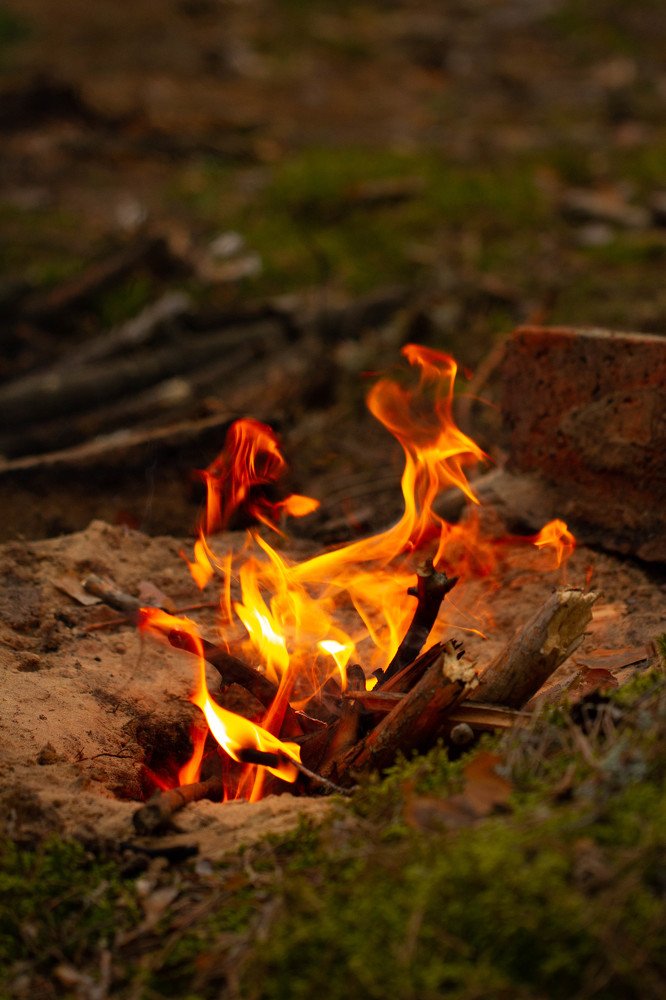 Photograph by Таня Короткова