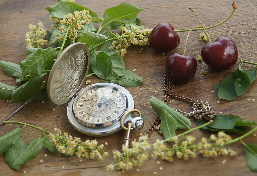 Photograph by Наталья