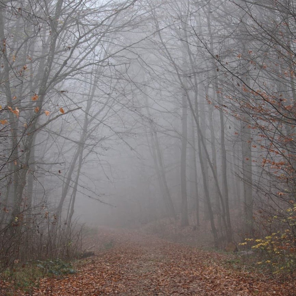 Фотография автора Olga Schneider