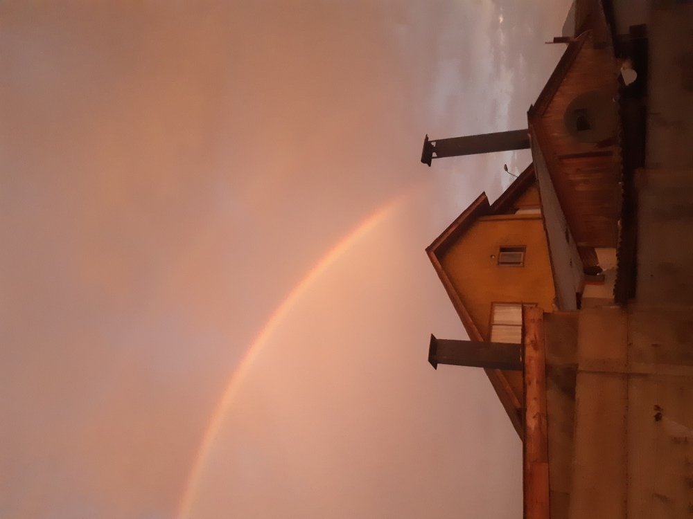 Photo #4635299