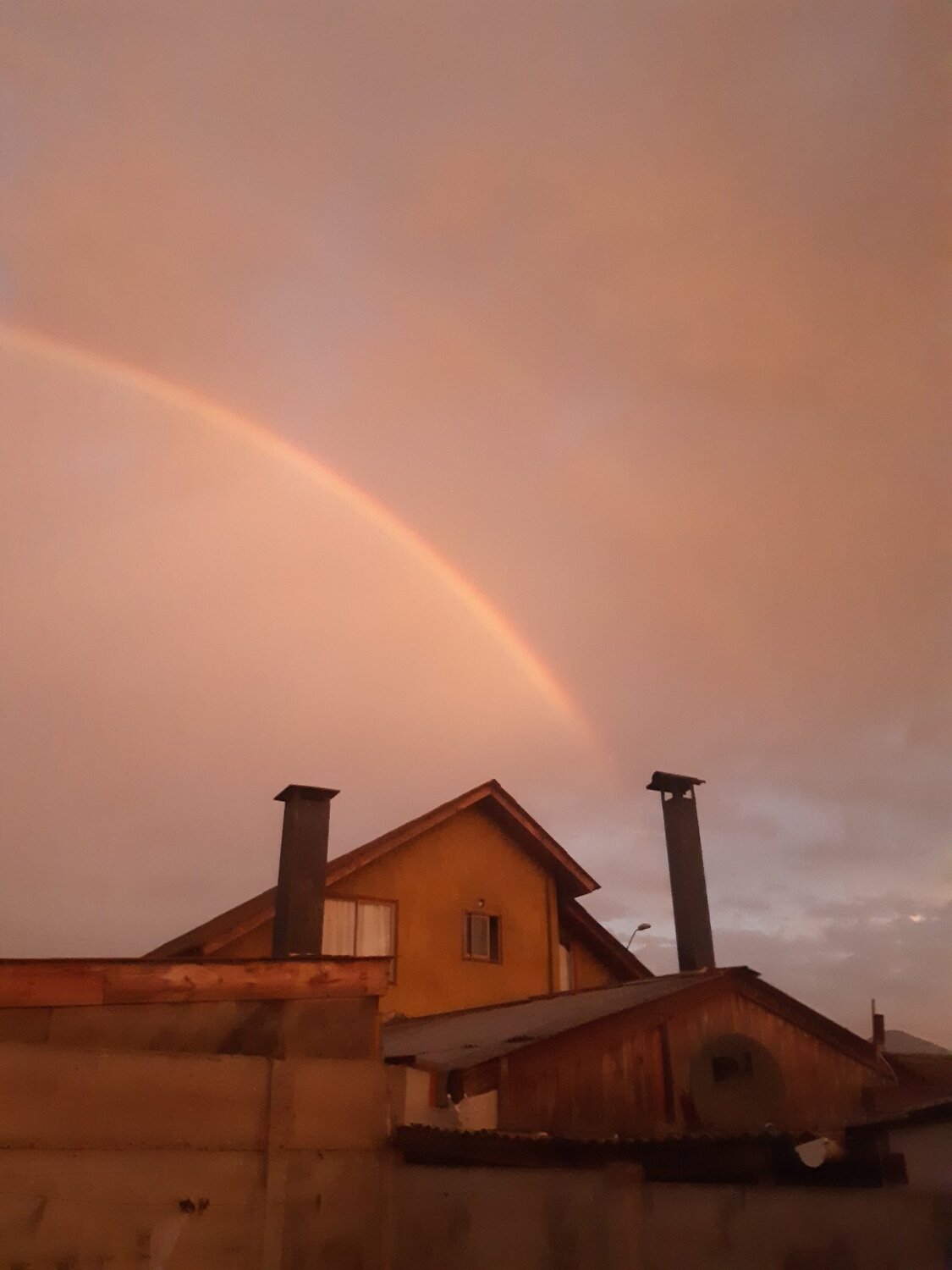 Photo #4635299