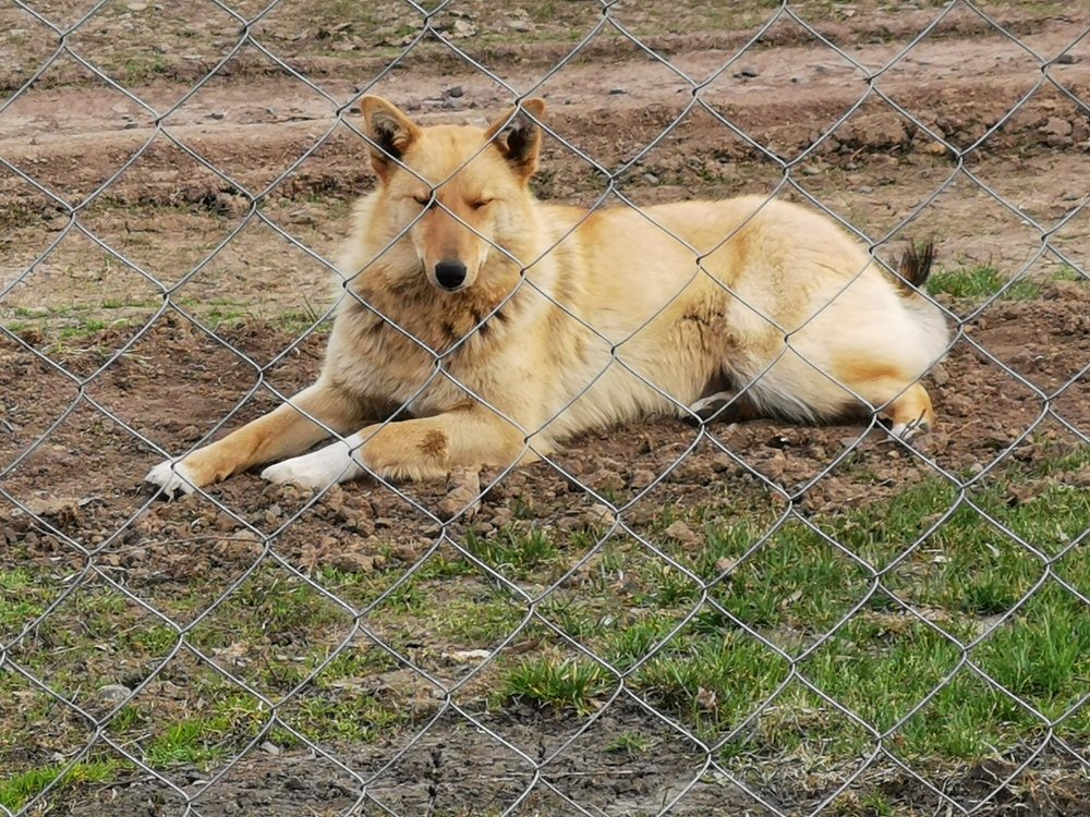 Photograph by Александр Костин