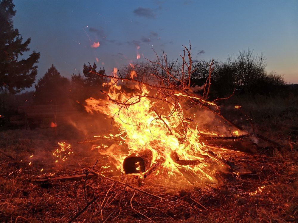 Photograph by Александр Костин