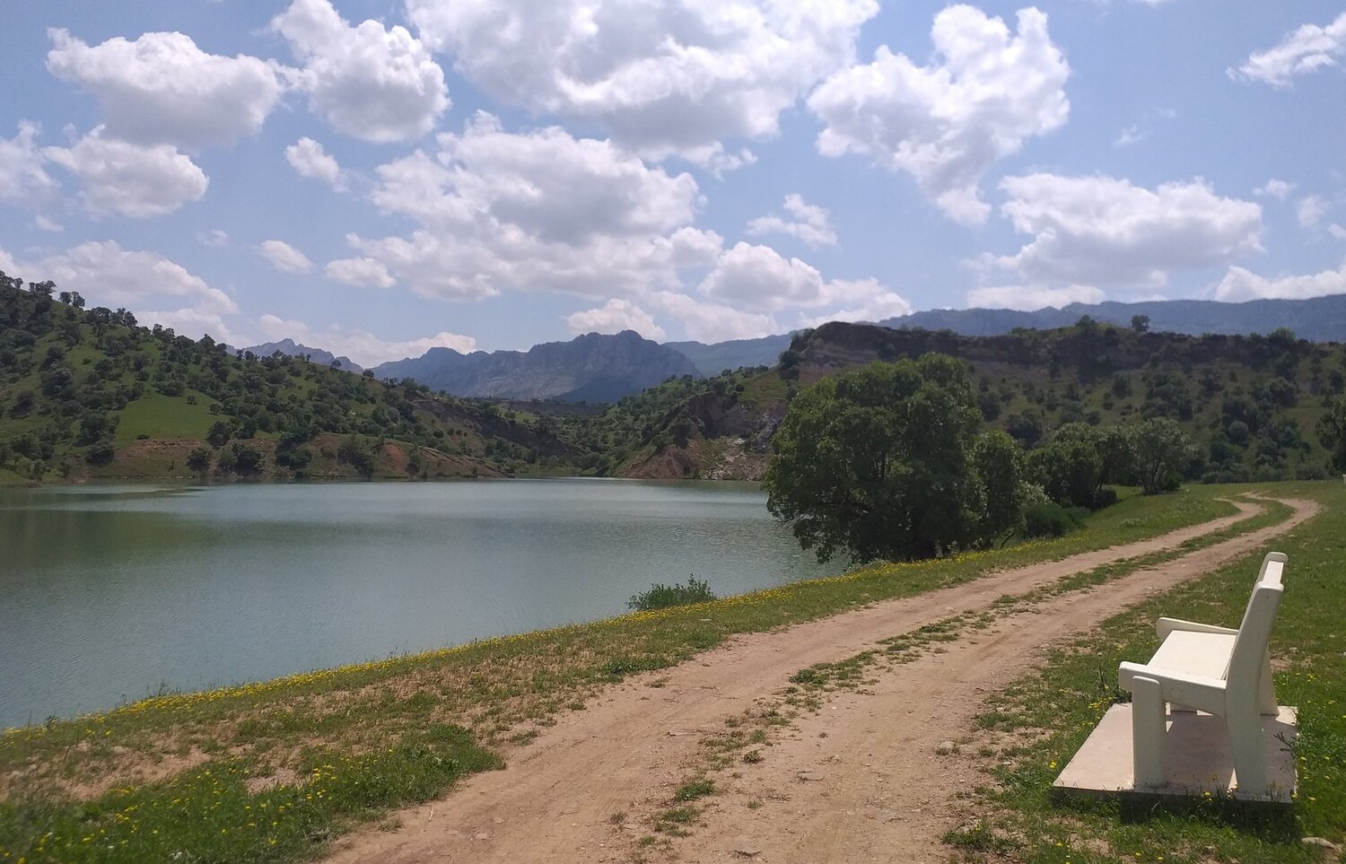 Photo #4635340